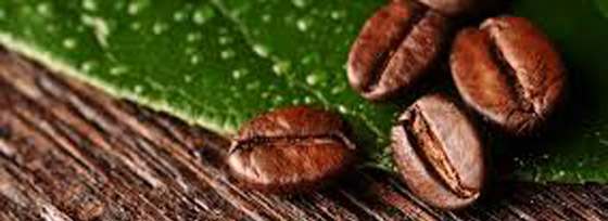 coffee_beans